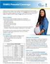 FAMIS Prenatal Flyer image